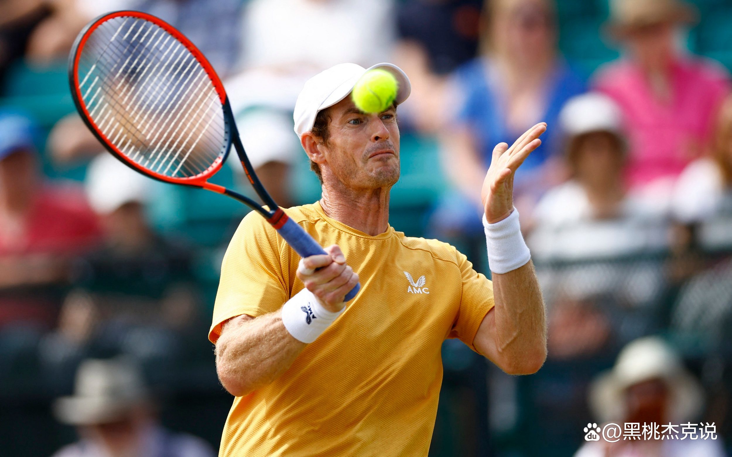 开云体育APP下载-关于温网翻盘戴维斯杯，穆雷扛起全队的信息