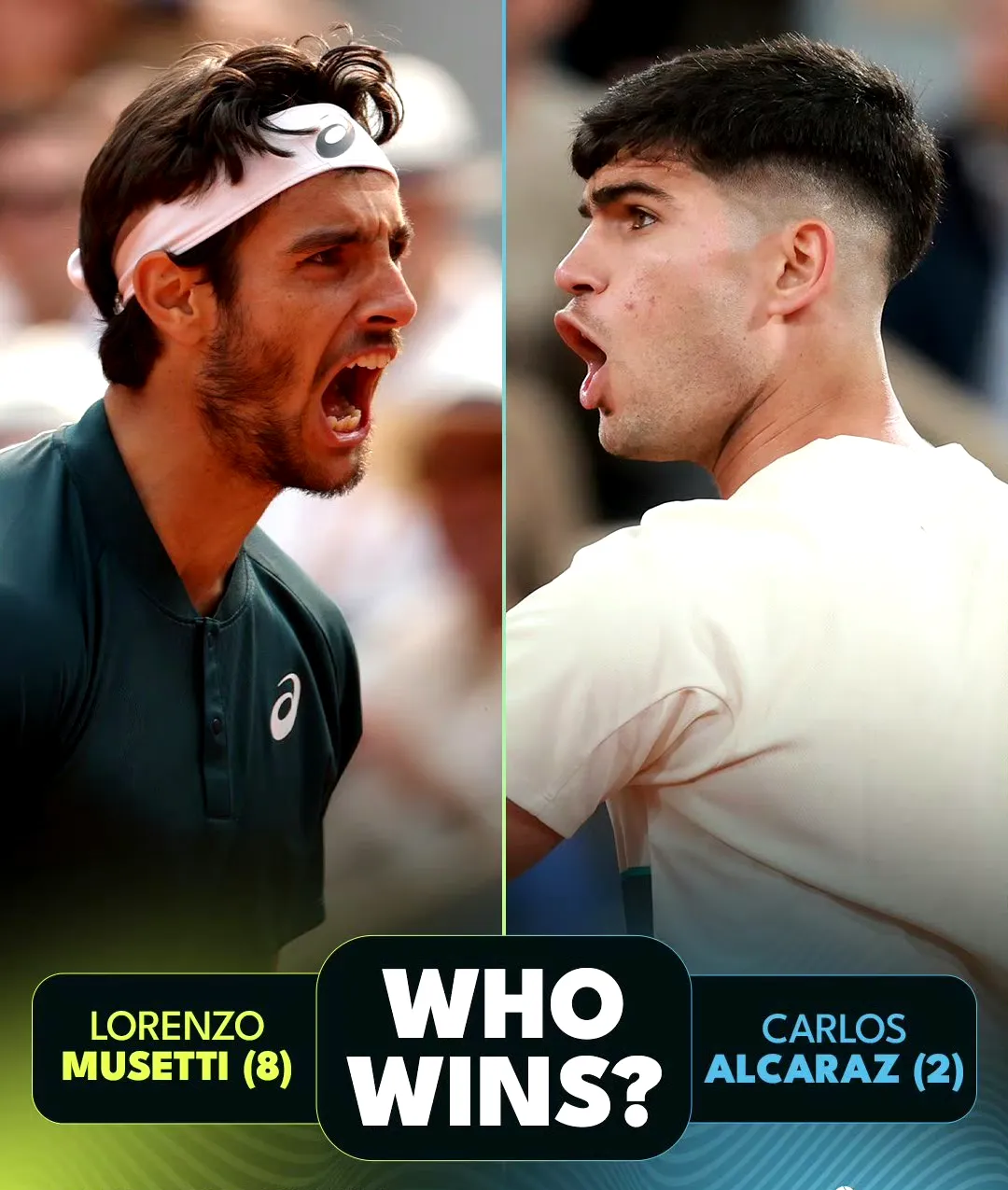 包含温网翻盘法网，德约科维奇统治全场的词条