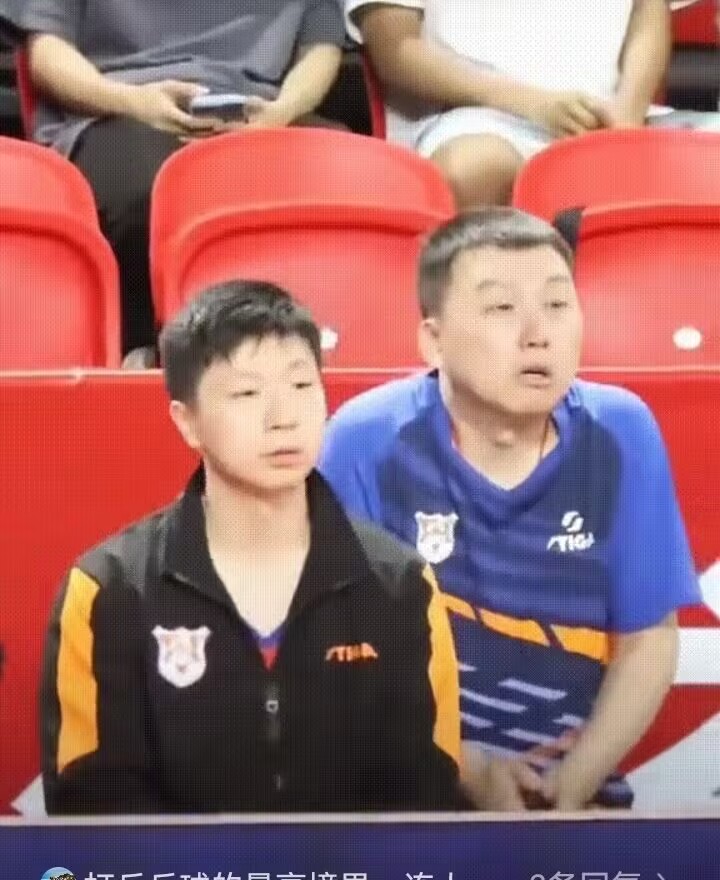 包含日本队翻盘法国队，马龙高光表现的词条